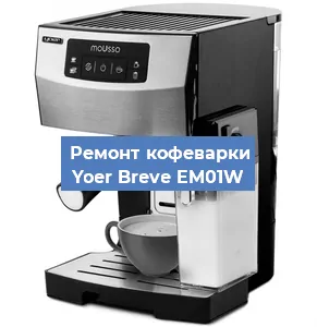 Ремонт заварочного блока на кофемашине Yoer Breve EM01W в Новосибирске